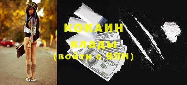 кокс Касимов
