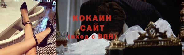 кокс Касимов