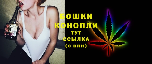 кокс Касимов